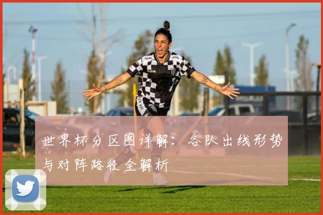世界杯分区图详解：各队出线形势与对阵路径全解析